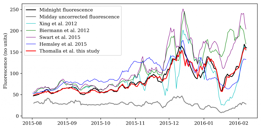 Time series of surface midnight fluorescence (black line) and midday uncorrected fluorescence (grey line) from 28 July 2015 to 8 February 2016, together with midday corrected fluorescence using 5 different methods (Xing et al. 2012; Biermann et al. 2012; Swart et al. 2015; Hemsley et al. 2015; Thomalla et al. this study). 