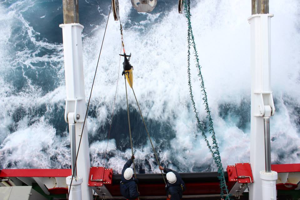 11880508 10156040269800601 3714683301940531075 N