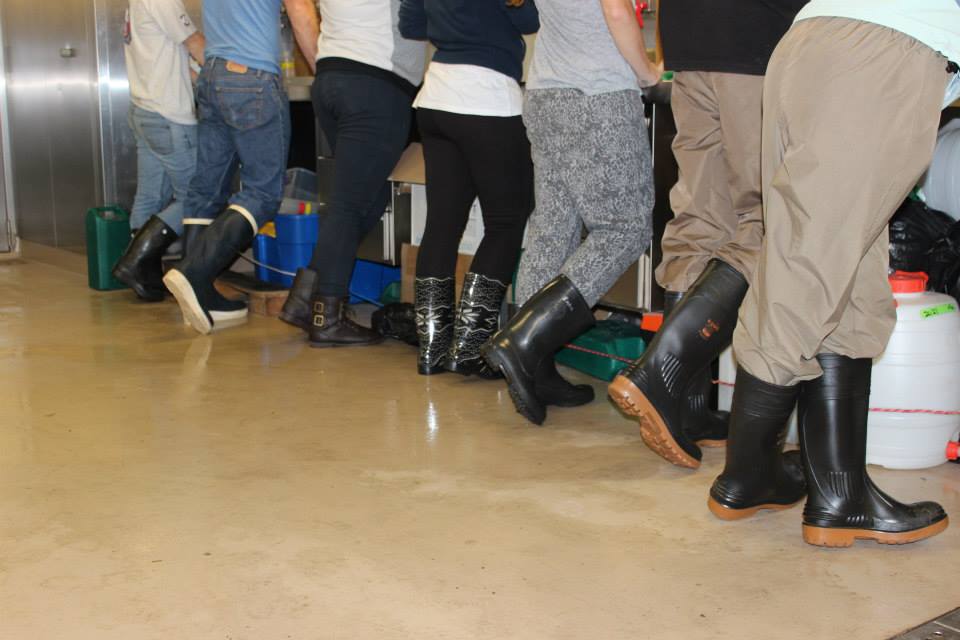 11222909 10156040325760601 2940114721688682456 N