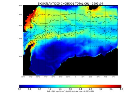 Total chlorophyll for the regional 0.5 degree ocean-ice-bigeochemistry model configuration (BIOSATLANTIC05).