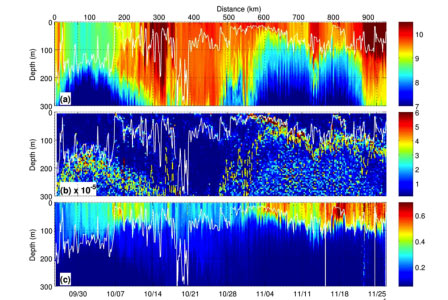 High-resolution time series of (a) temperature, (b) stratification and (c) chlorophyll-a collected by an ocean glider in the Subantarctic region. These observations provide a first look at the seasonal evolution of upper ocean physics and biogeochemistry in the Southern Ocean.